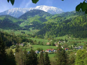 CProoms24 Miesenbach